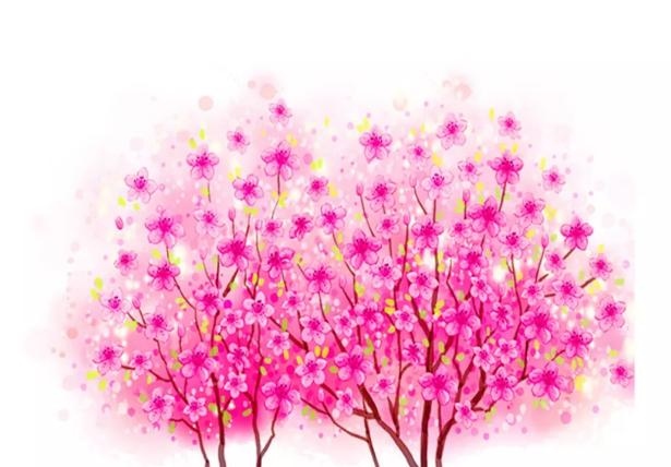 兔子今年运势和财运，兔子生人今年运气怎么样