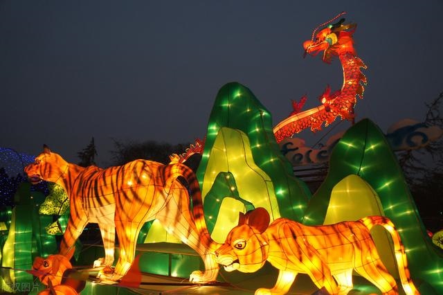 属虎和龙属相合不合，生肖龙和虎合不合