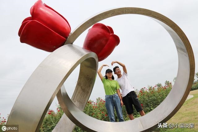 000属龙几岁遇真爱，dr查询真爱编码"