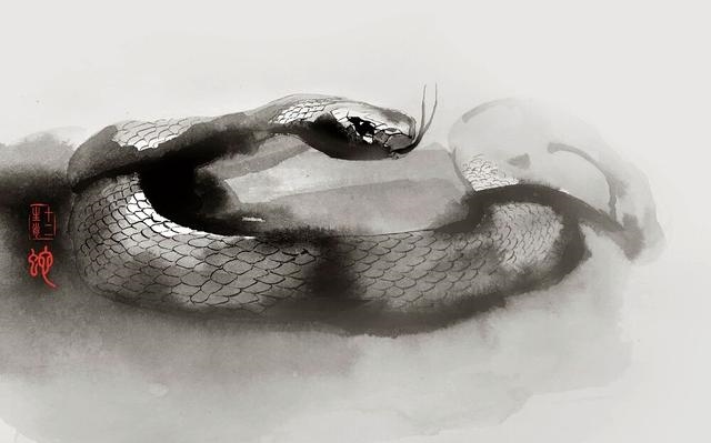 化解生肖相克的 *** ，命相克的人怎么化解