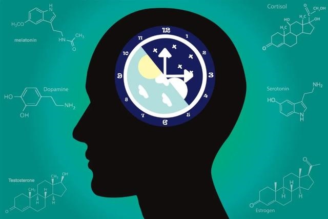 979年属羊最终寿命，1979女年属羊的命苦"