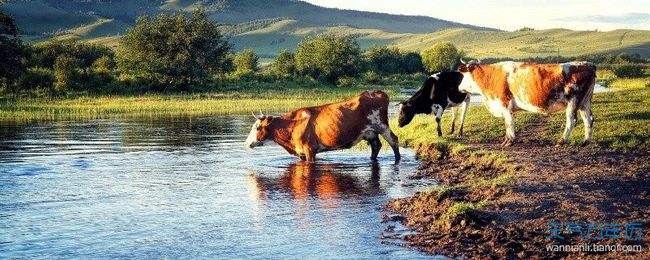 7属牛女适合什么职业，如何知道自己适合什么职业"