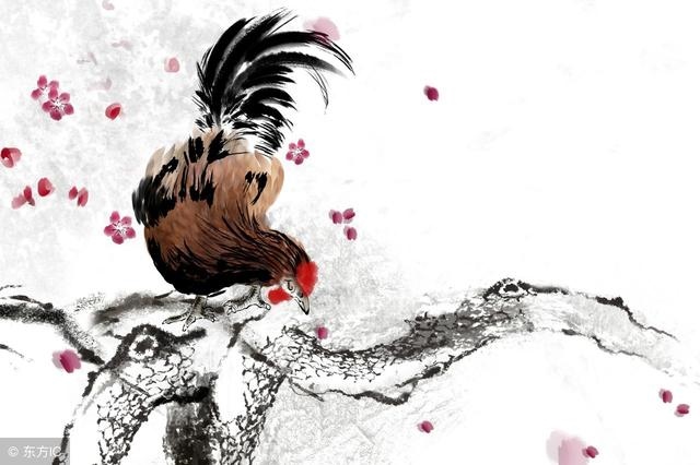 9年属鸡52岁命中注定，属鸡男认定一个人"