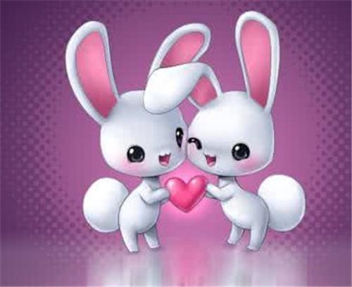 属兔婚配什么属相更好,属兔人和哪个属相结婚更好