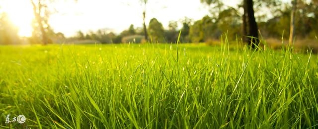 牛女和虎男结婚的后果，虎男与牛女相克吗