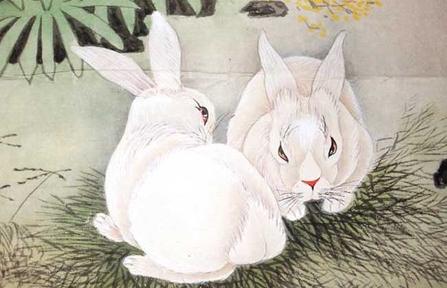 七五年六月属兔女人，75年六月兔