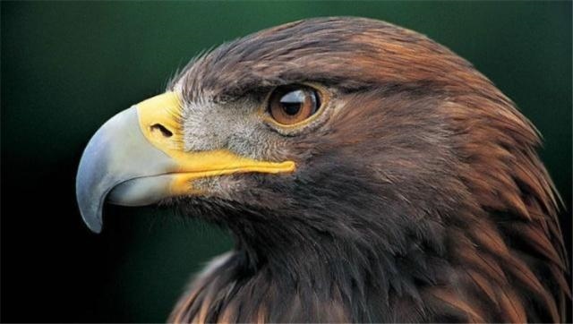 什么是荣华富贵之命，荣华之命是什么样子的