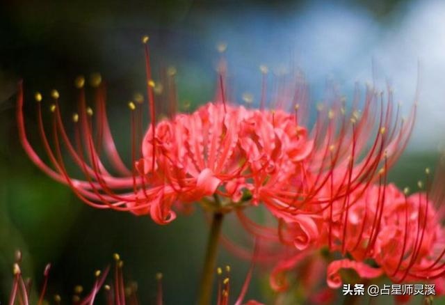 022年适合添丁的日子，属蛇2022年几月份添丁"