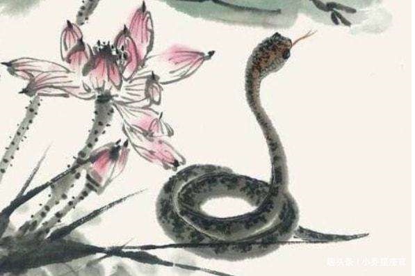 022属蛇下半年运势,属蛇2022