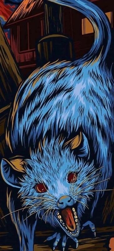 十二生肖图片高清大图，十二生肖动物高清大图