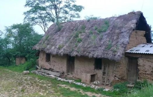 属羊的今年66岁会去世吗，66岁属什么生肖