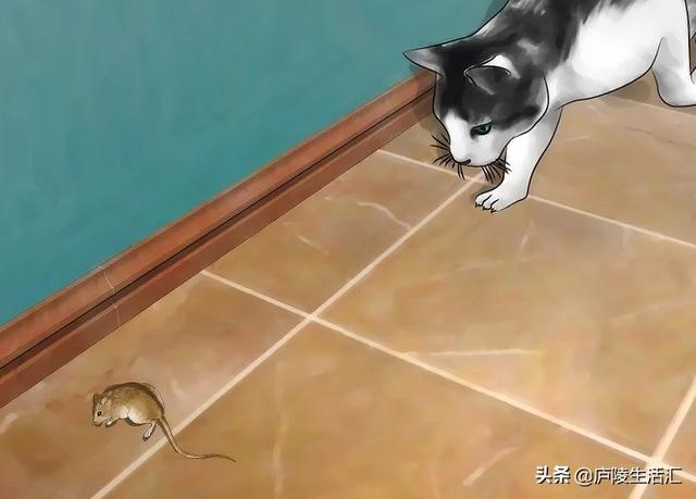 驱赶老鼠最有效的声音视频，家里有老鼠怎么赶走