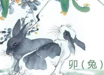 属兔35岁有姻缘，87年属兔34岁有一劫2022