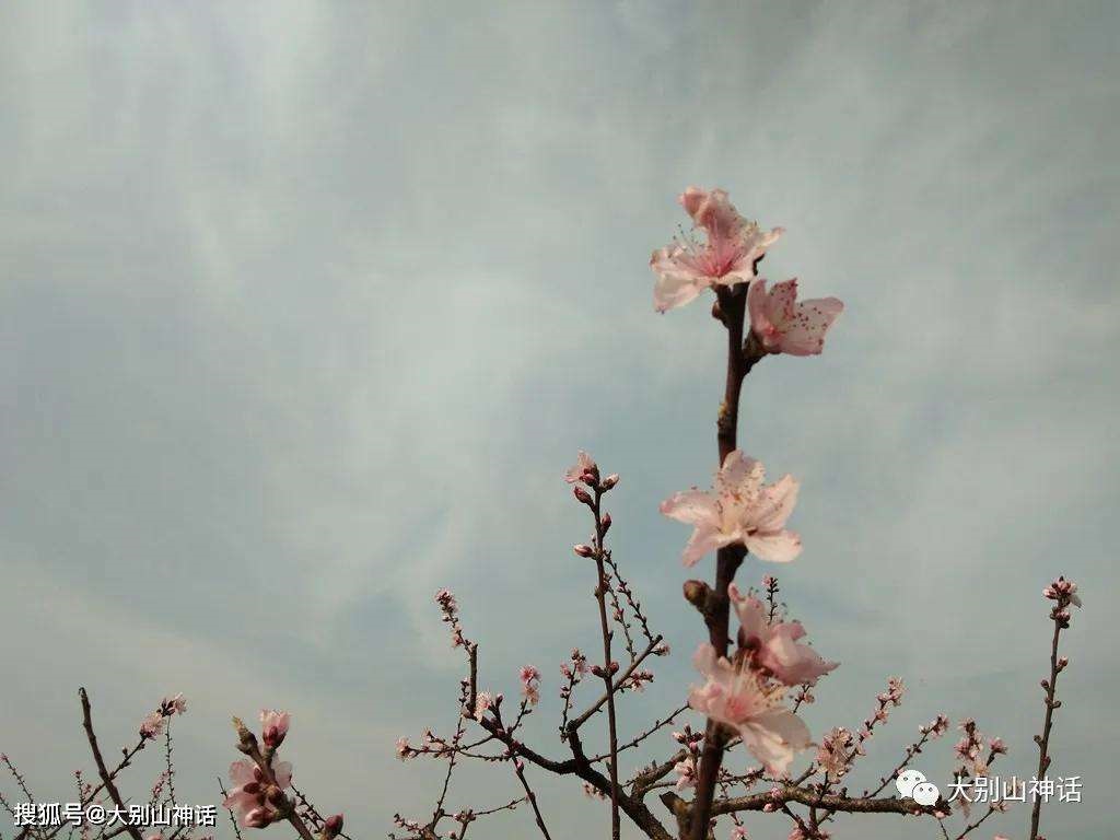 命带两朵桃花什么意思，两个桃花劫的人是正缘吗