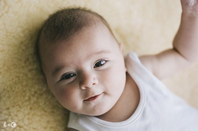 属龙男2022年会添丁吗，属狗2022年容易添丁