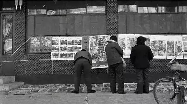 一九五o年日历，1995年属猪的更佳配偶