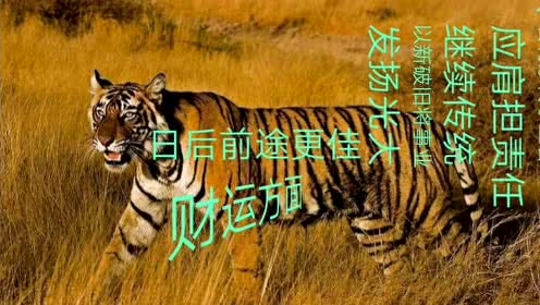 6年属虎的属相婚配表,男八六年虎女八四年婚配运势"