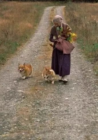 2岁属什么生肖，92年属什么生肖配对"