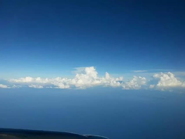 025年兔年是什么命，2026年生肖兔全年运势"