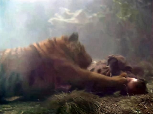 8虎和99兔谁克谁，虎和兔在一起对谁不利"