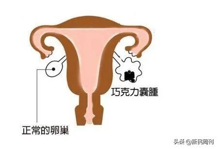 023清宫表生女孩子图准确，2022