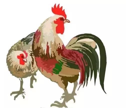 属狗哪月出生是上等之命，真的十狗九富吗