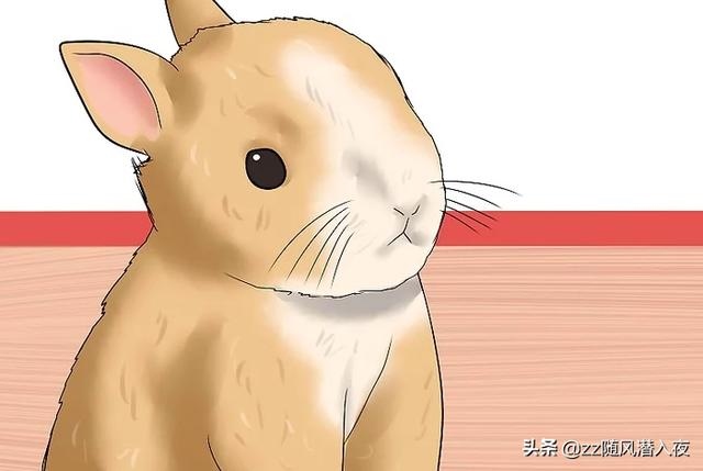 兔子几岁2022年，1963年属兔的是什么命