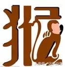 属相不合但是五行很合可以吗，属相相冲会有什么后果