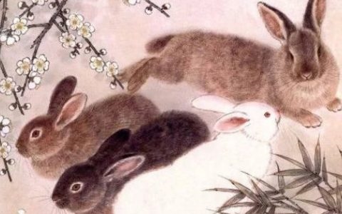 7年属兔更佳结婚年龄，生肖猪2022