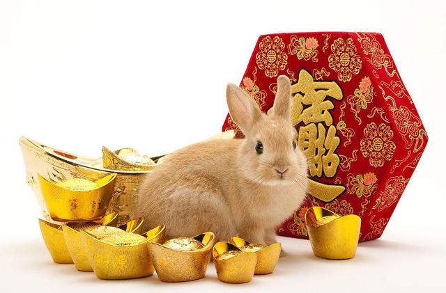 属兔的人什么时候出生的大富大贵，属兔的几点出生更好命