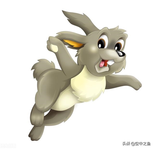 属兔人在牛年的运气如何，属兔的人在牛年的运势