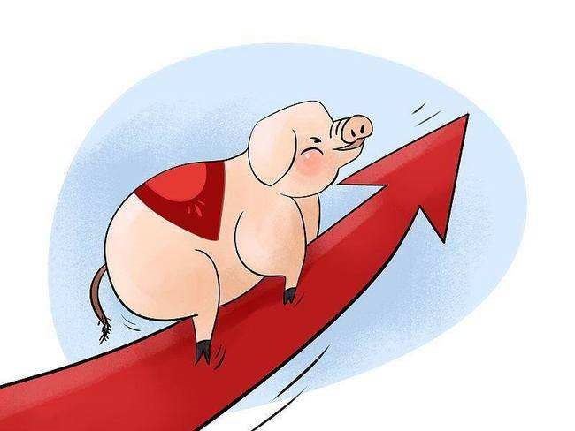 022年属马的多少岁，属马2022年全年运势和运程"