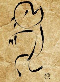 猴跟兔婚姻相配吗,女猴跟男兔婚姻相配吗