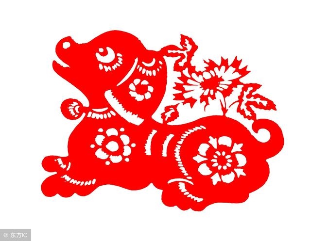 生肖鸡未来5年的运势,81年鸡哪年转大运