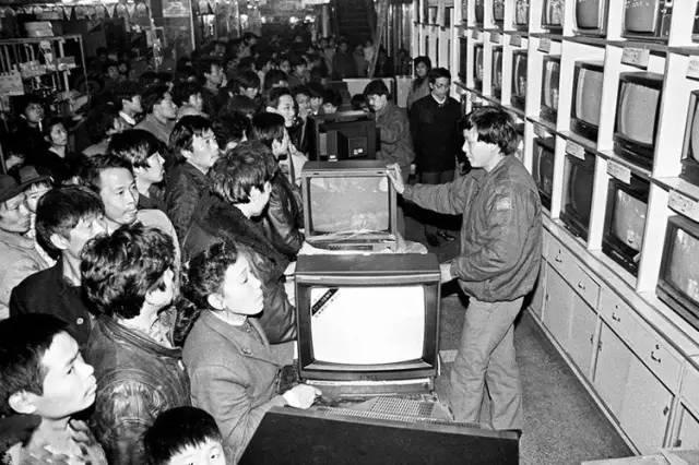 一九五o年日历，1995年属猪的更佳配偶