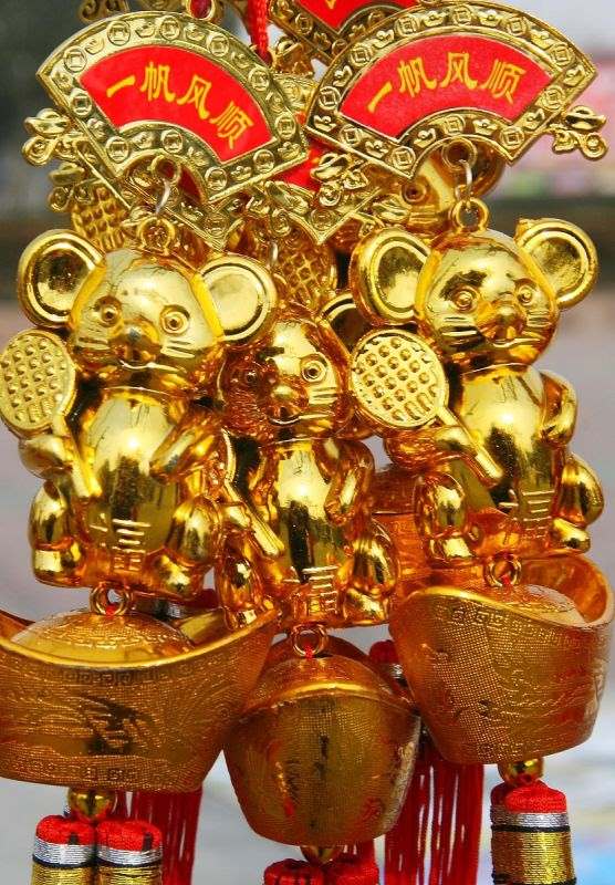 4年鼠今日运势指数，1984女鼠一生财运状况"