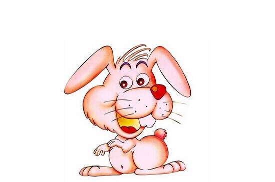 1年属兔人2022年运势,87年属兔34岁有一劫2022"