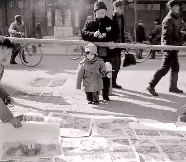 一九五o年日历，1995年属猪的更佳配偶