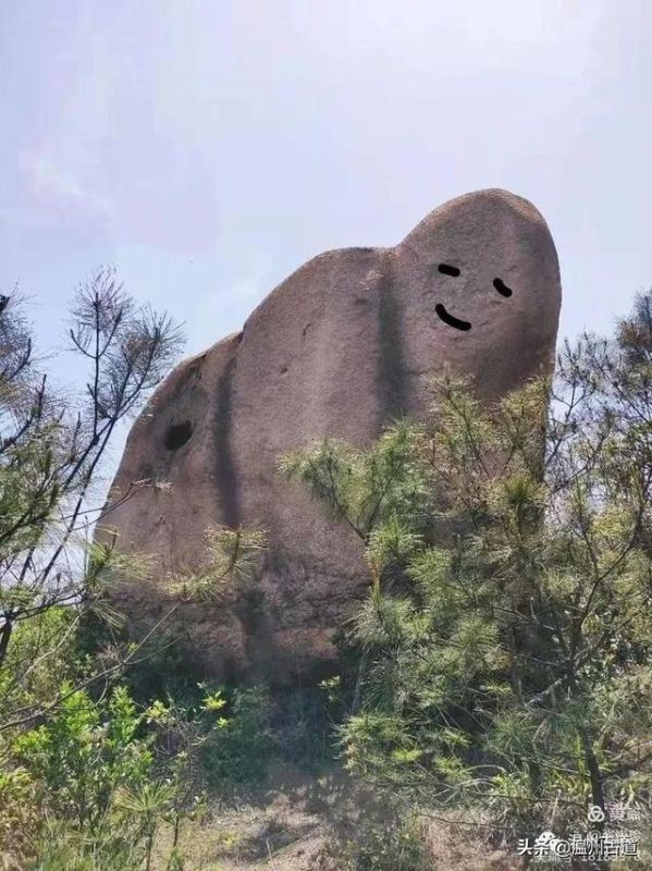 预言唯有玉兔上龙床，千佛万祖保护