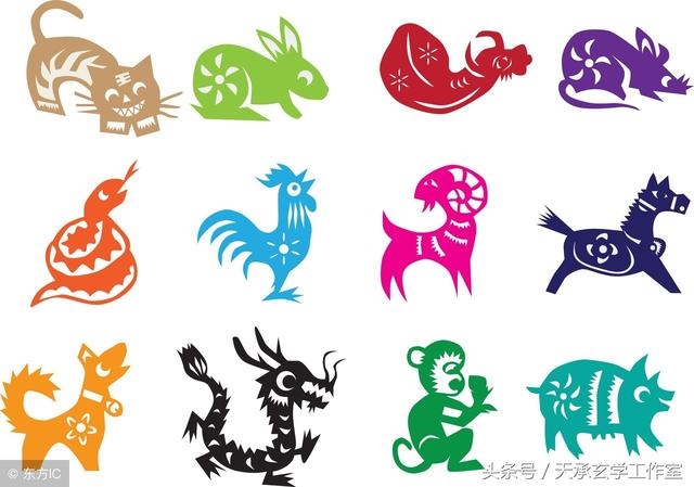 马的对冲生肖是什么，生肖相冲的人在一起怎么化解