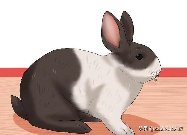 兔子几岁2022年，1963年属兔的是什么命