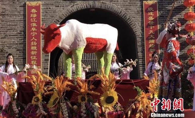 022年十二生肖属性，2022年财运排名属相"