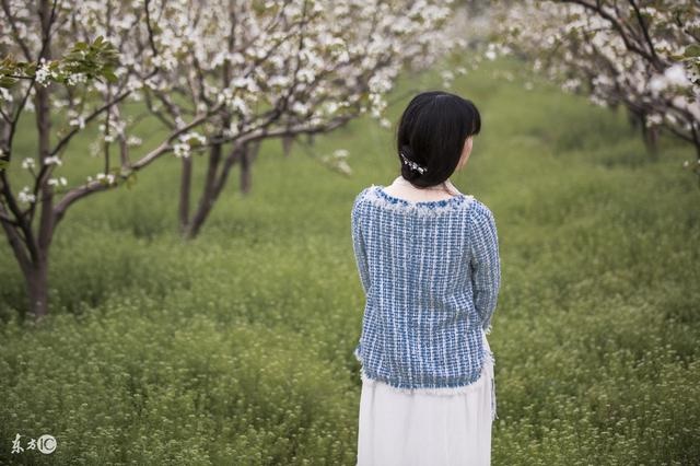 十二生肖三合三冲大全,十二生肖测命法