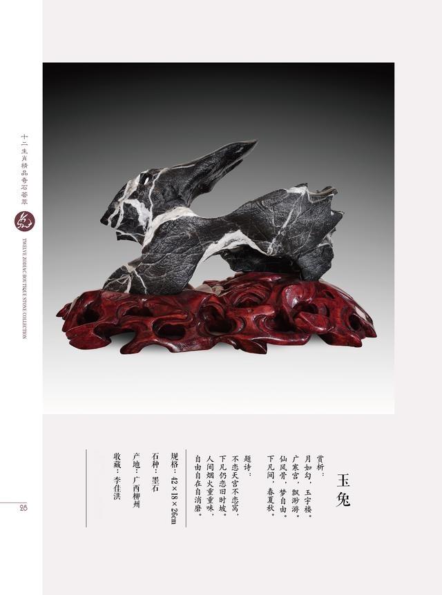 属兔和属虎的合不合财，属兔和属虎的合财吗