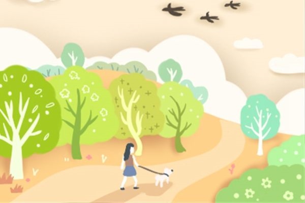 女人属兔配什么属相好,属兔2022 年运势及运程