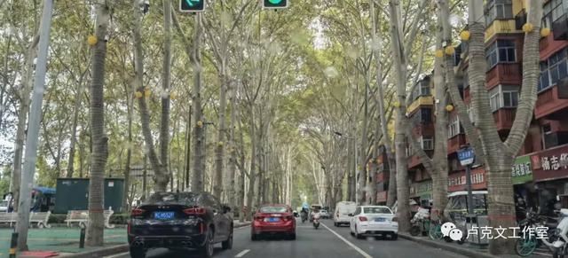 975属兔人一生命运很差，属兔男喜欢女人的穿着"