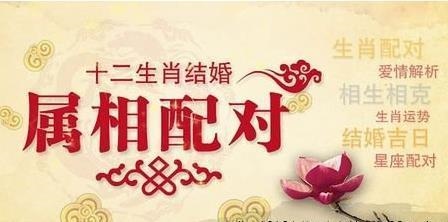 属兔和属兔的人结婚好不好，属兔和属兔的相配吗