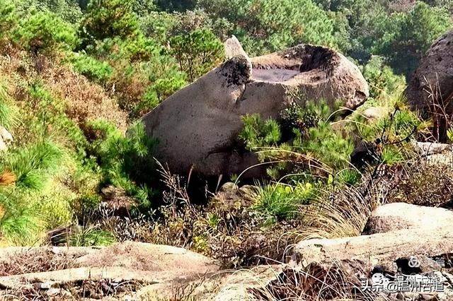 预言唯有玉兔上龙床，千佛万祖保护