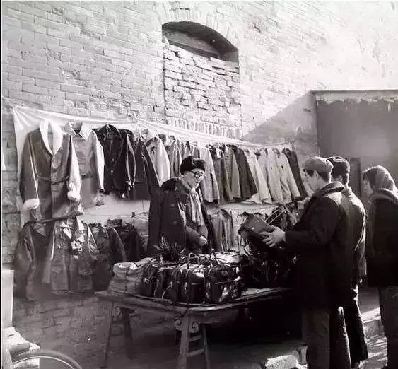 一九五o年日历，1995年属猪的更佳配偶