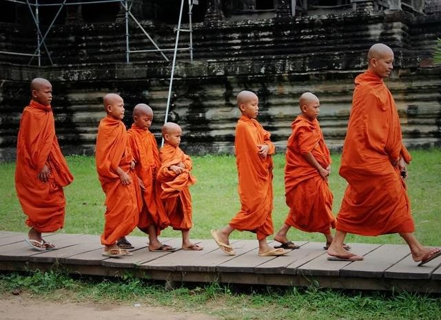 我属兔今年怎么这么不顺，2022 年属兔灾难